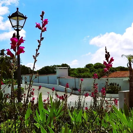 The Sea Breeze Haven In Praia D'El Rey *